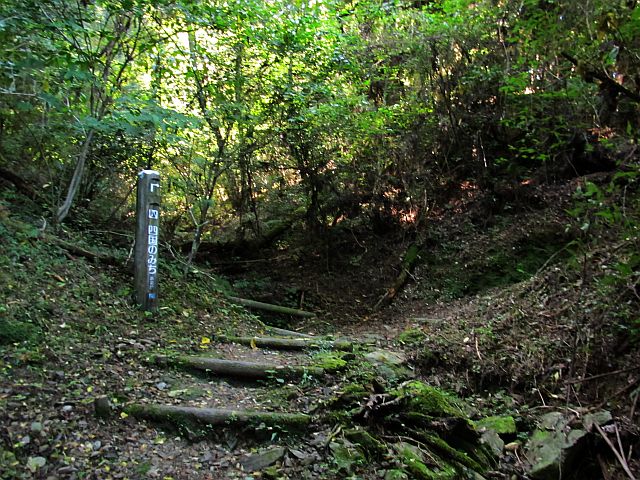 t09_049.jpg
