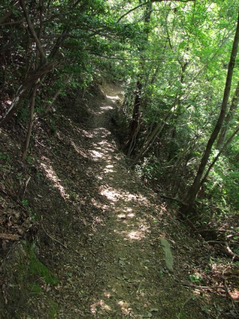 t09_050.jpg