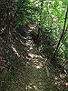 t09_050_thumb.jpg