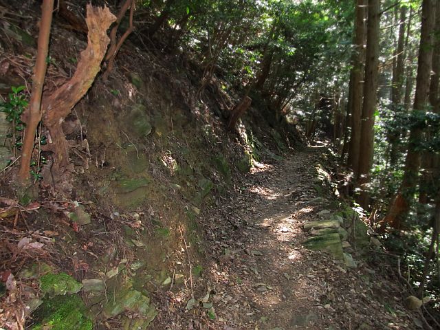 t09_051.jpg