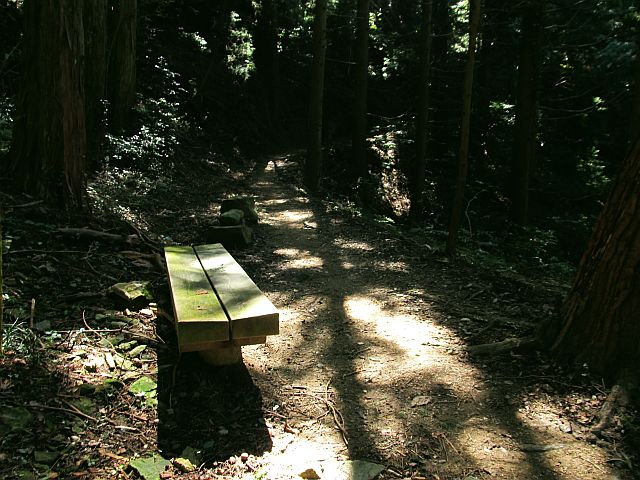 t09_052.jpg