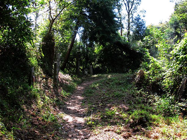 t09_053.jpg