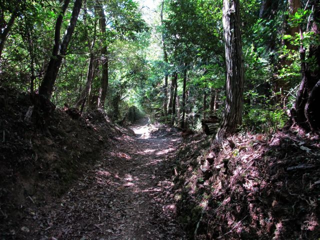 t09_054.jpg