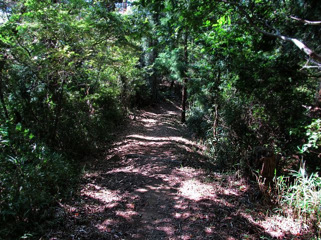 t09_055.jpg