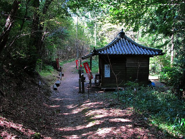 t09_056.jpg