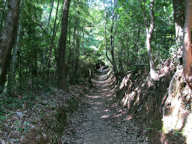t09_059.jpg