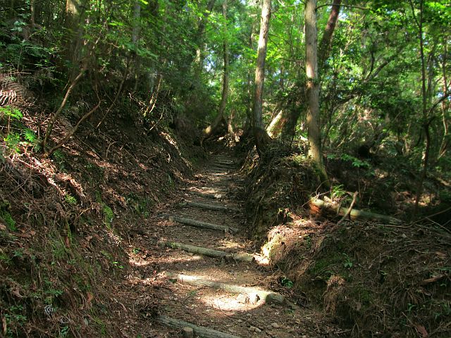 t09_060.jpg