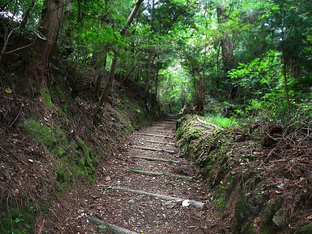 t09_061.jpg