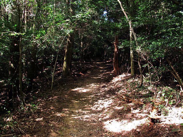 t09_062.jpg