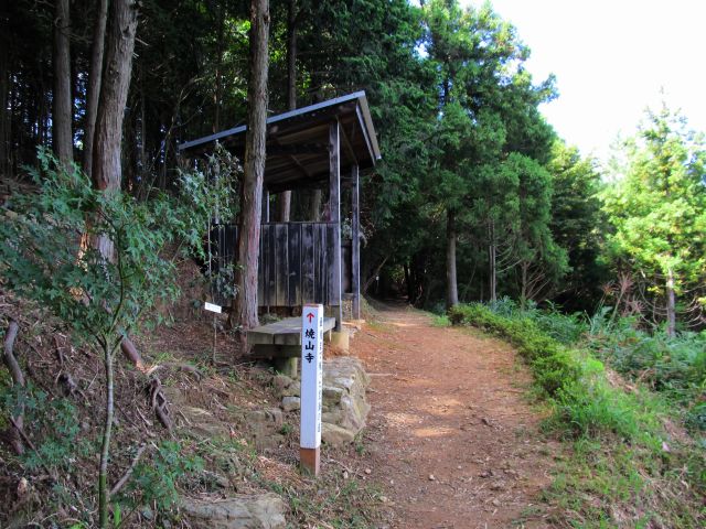 t09_063.jpg