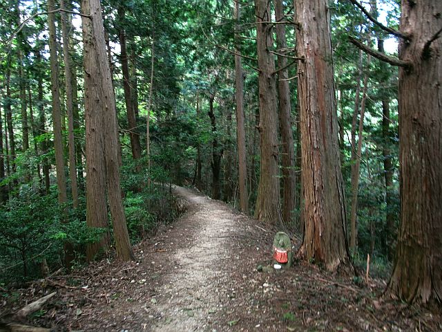 t09_067.jpg