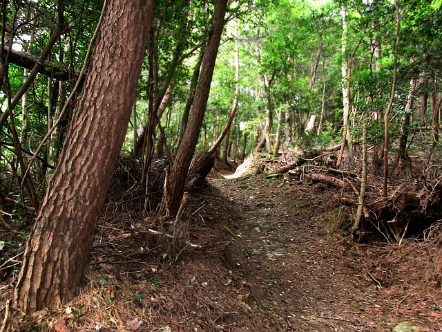 t09_069.jpg