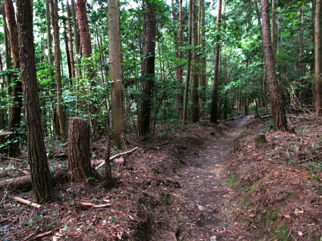 t09_070.jpg