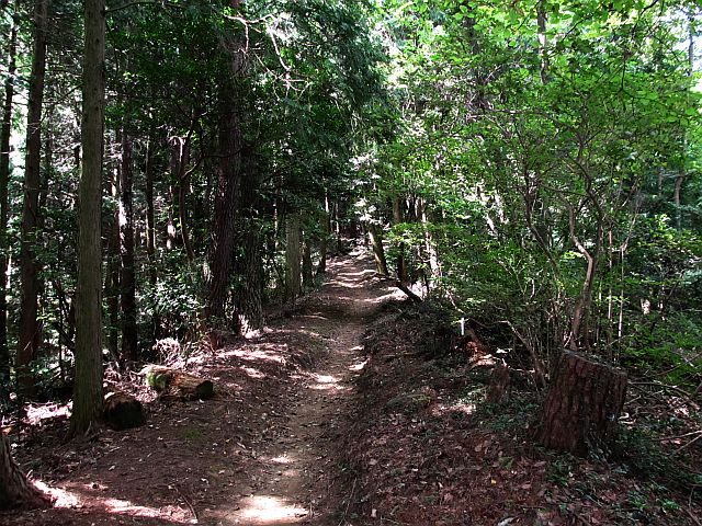t09_072.jpg