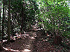 t09_072_thumb.jpg