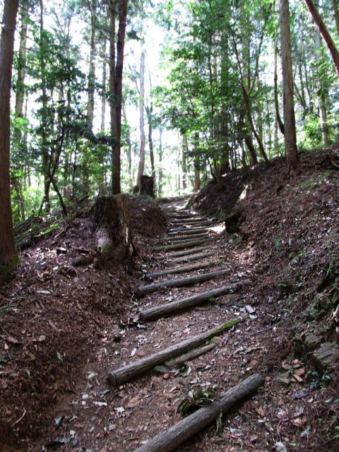 t09_073.jpg