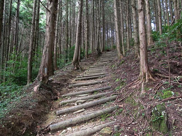 t09_074.jpg