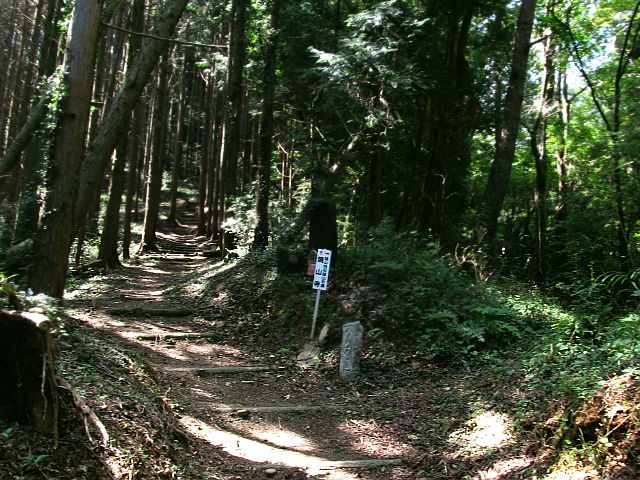 t09_075.jpg