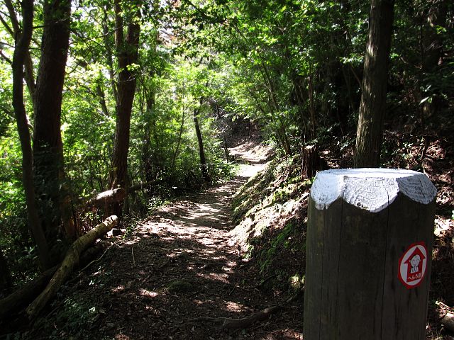 t09_076.jpg