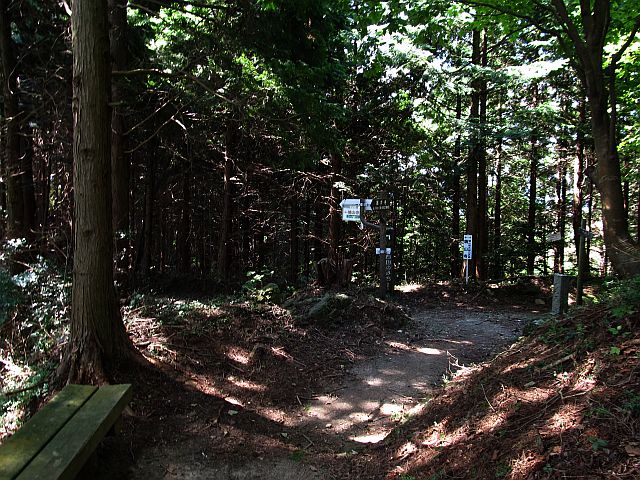 t09_077.jpg