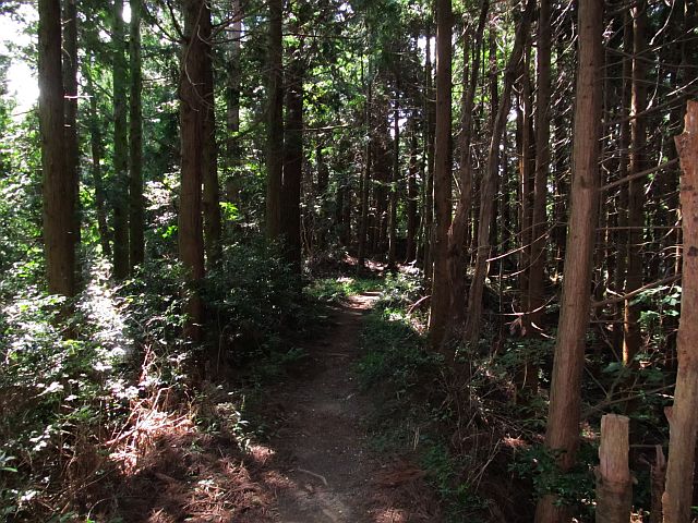t09_078.jpg