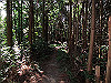 t09_078_thumb.jpg