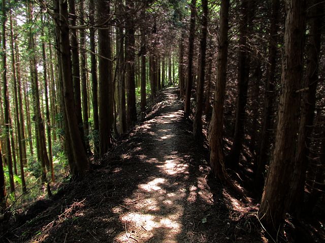 t09_079.jpg