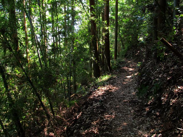 t09_081.jpg
