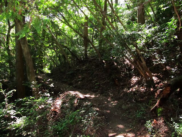 t09_082.jpg