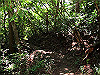 t09_082_thumb.jpg