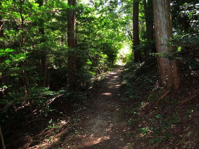 t09_083.jpg