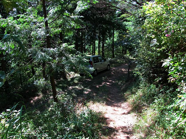 t09_085.jpg