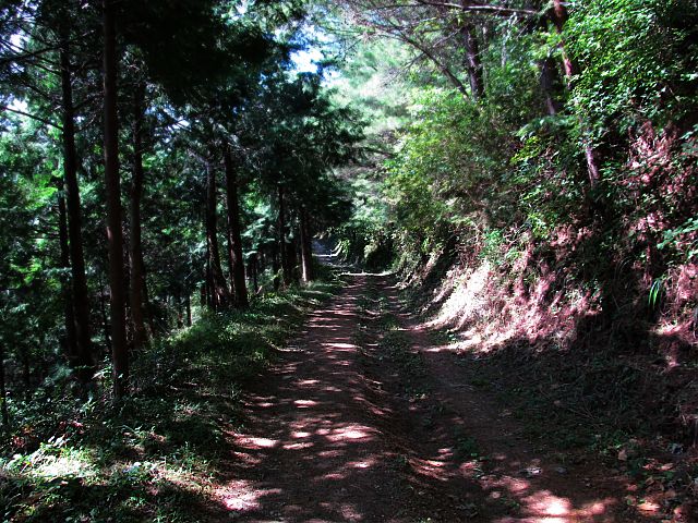 t09_086.jpg