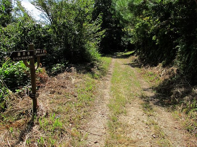 t09_088.jpg