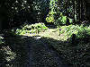 t09_089_thumb.jpg