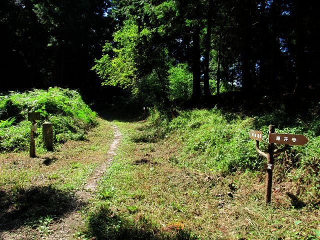 t09_090.jpg