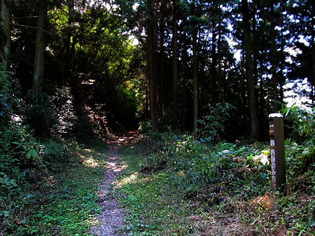 t09_091.jpg