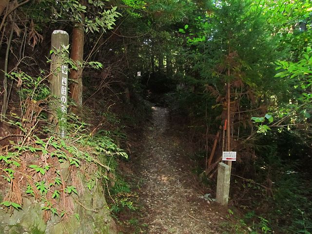 t09_092.jpg