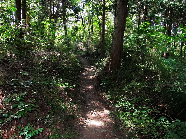 t09_093.jpg