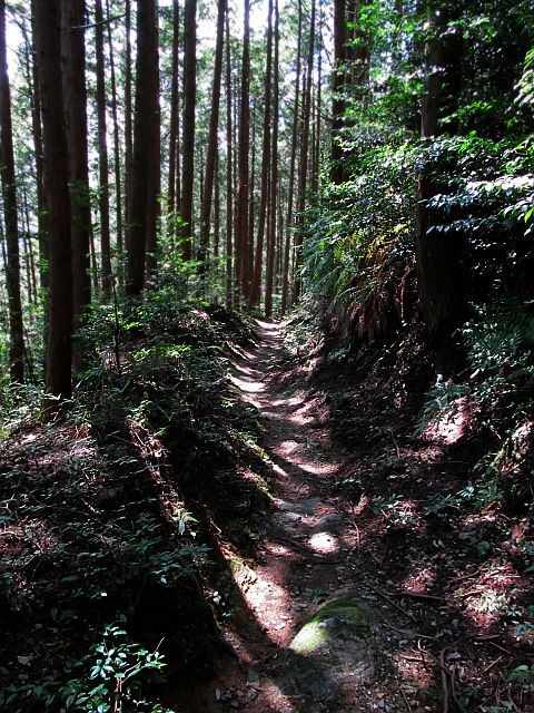 t09_094.jpg