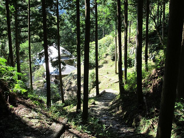 t09_095.jpg