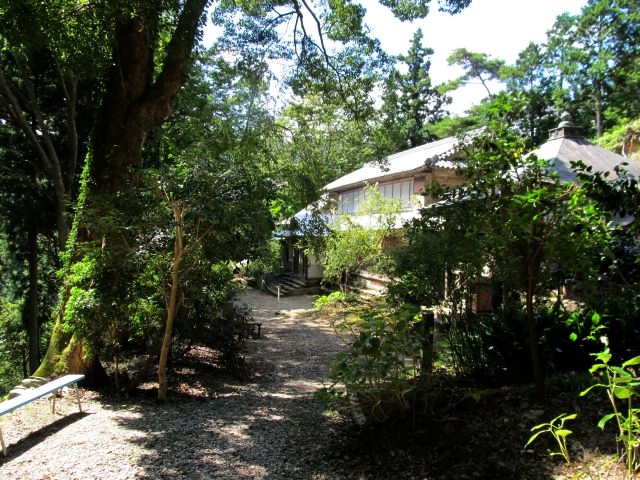 t09_097.jpg