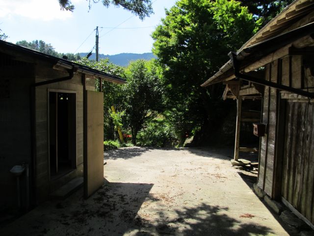 t09_100.jpg