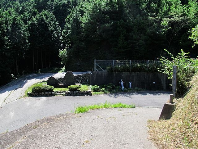 t09_105.jpg