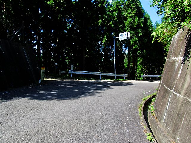t09_106.jpg