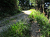 t09_108_thumb.jpg