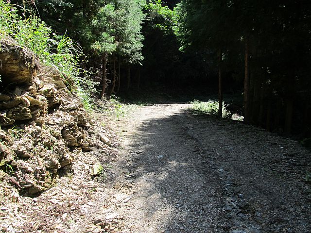 t09_109.jpg