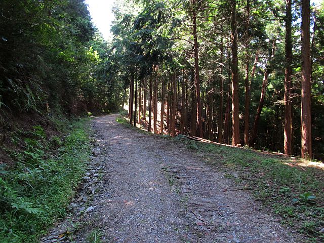 t09_110.jpg