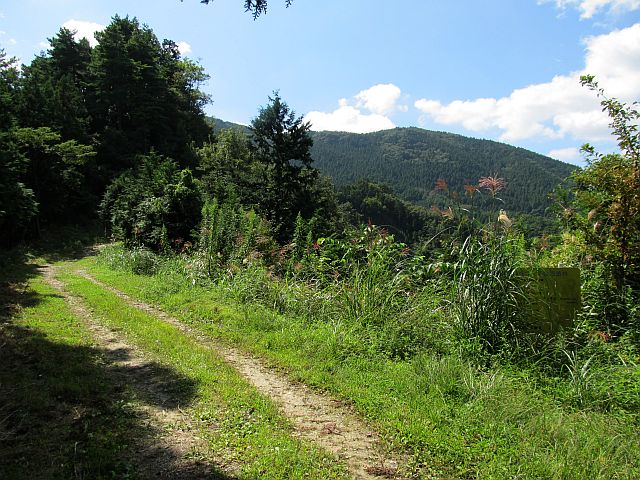 t09_111.jpg