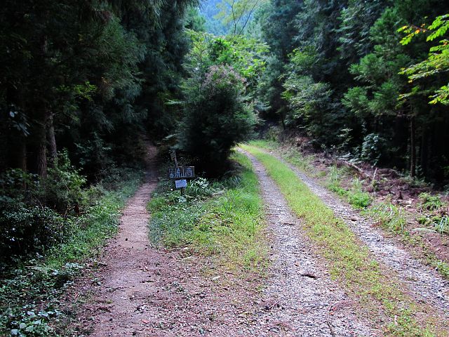 t09_113.jpg